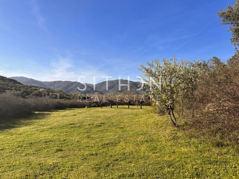 Αγροτεμάχια 2.156 τ.μ. προς πώληση, Συκιά Τορώνης