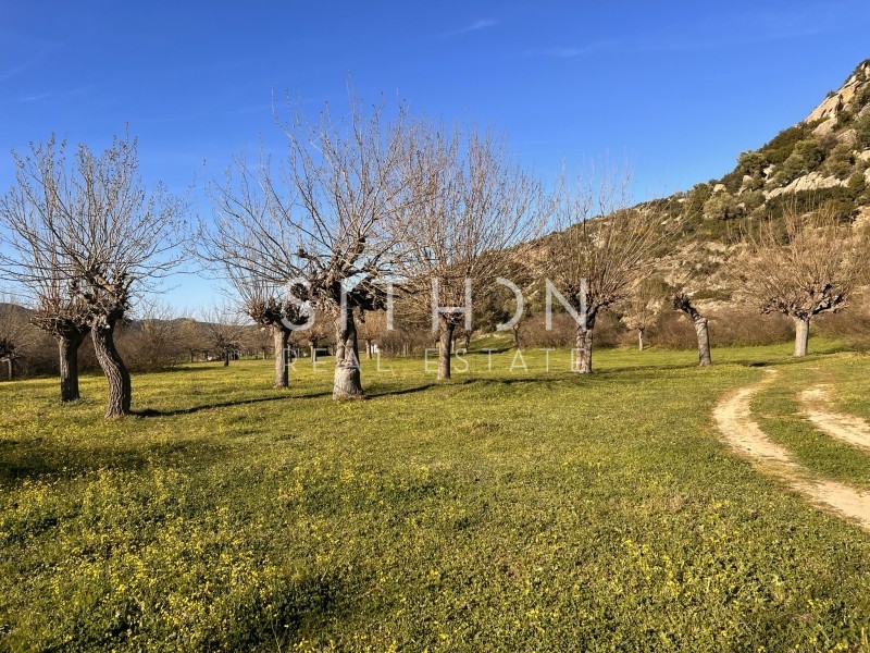 Αγροτεμάχια 2.156 τ.μ. προς πώληση, Συκιά Τορώνης