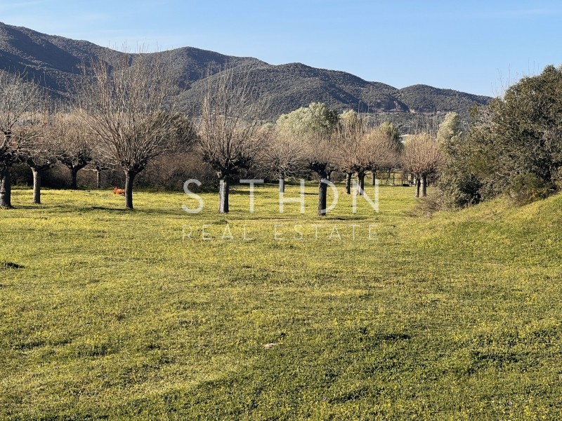 Αγροτεμάχια 4.013 τ.μ. προς πώληση, Συκιά Τορώνης