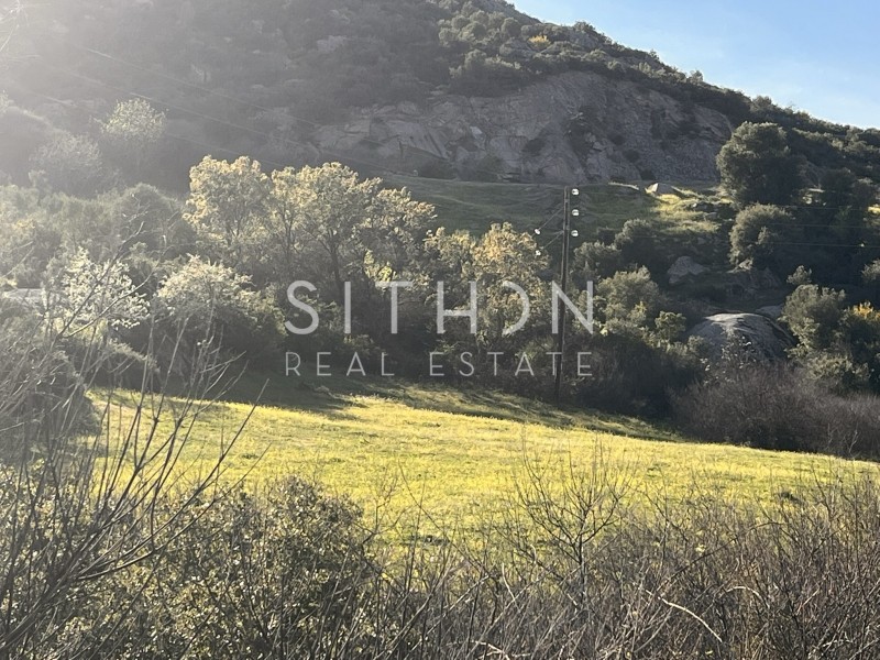 Αγροτεμάχια 4.013 τ.μ. προς πώληση, Συκιά Τορώνης