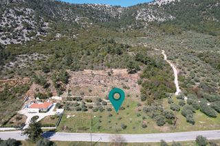 Αγροτεμάχια 4.424 τ.μ. για πώληση, Ν. Καβάλας, Θάσος-thumb-2