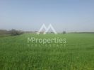 Land plot 26.000sqm for sale-Kallikrateia » Sozopoli