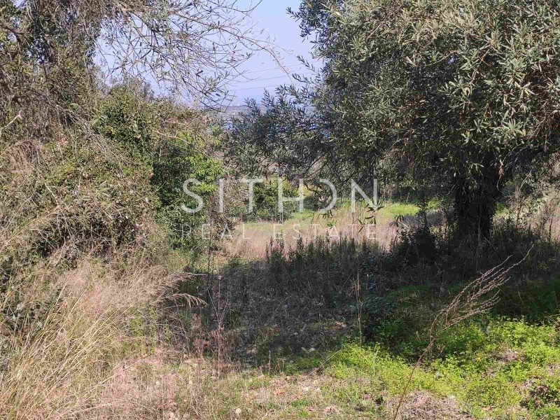 Αγροτεμάχια 1.773 τ.μ. προς πώληση, Βουρβουρού