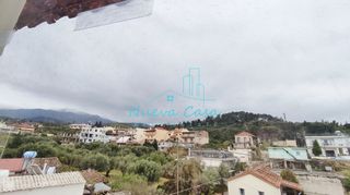 Studio / γκαρσονιέρα 30 τ.μ. για ενοικίαση, Αχαΐα, Πάτρα-thumb-17