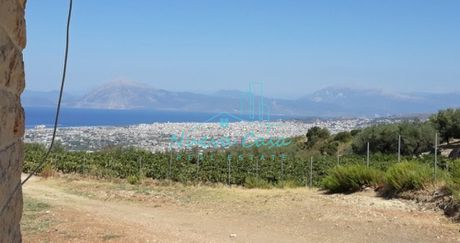 Οικόπεδο 4.600τ.μ. για πώληση-Μεσσατίδα » Καλλιθεόκαμπος