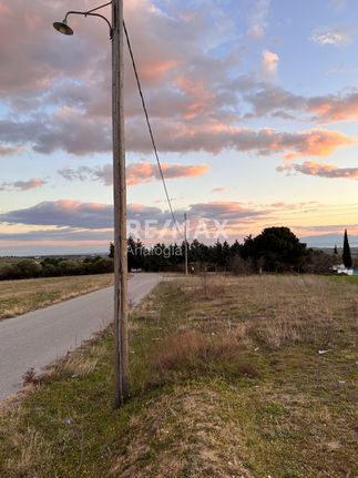 Αγροτεμάχια 6.250 τ.μ. για πώληση, Θεσσαλονίκη - Περιφ/Κοί Δήμοι, Θέρμη