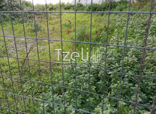 Οικόπεδο 120 τ.μ. για πώληση