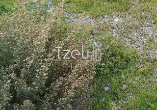 Οικόπεδο 120 τ.μ. για πώληση, Αχαΐα, Πάτρα-thumb-16