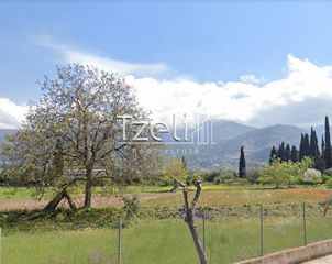 Οικόπεδο 1.000 τ.μ. για ενοικίαση, Αχαΐα, Πάτρα-thumb-12