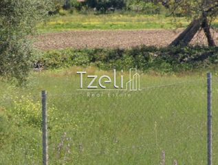 Οικόπεδο 1.000 τ.μ. για ενοικίαση, Αχαΐα, Πάτρα-thumb-8