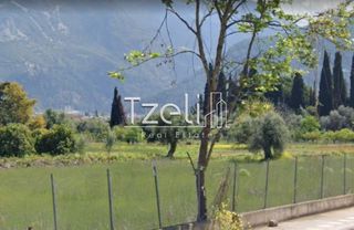 Οικόπεδο 1.000 τ.μ. για ενοικίαση, Αχαΐα, Πάτρα-thumb-5