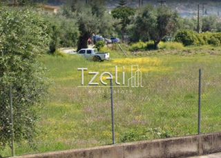 Οικόπεδο 1.000 τ.μ. για ενοικίαση, Αχαΐα, Πάτρα-thumb-3
