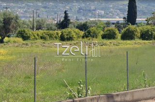 Οικόπεδο 1.000 τ.μ. για ενοικίαση, Αχαΐα, Πάτρα-thumb-14