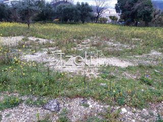 Αγροτεμάχια 4.100 τ.μ. για πώληση, Αχαΐα, Ρίο-thumb-10