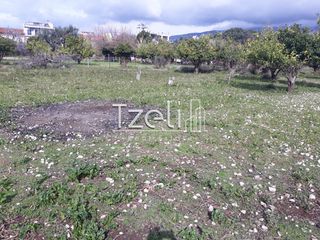 Αγροτεμάχια 4.100 τ.μ. για πώληση, Αχαΐα, Ρίο-thumb-22
