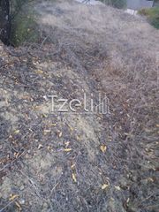 Αγροτεμάχια 4.100 τ.μ. για πώληση, Αχαΐα, Ρίο-thumb-2