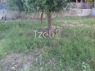 Αγροτεμάχια 4.100 τ.μ. για πώληση, Αχαΐα, Ρίο-thumb-3
