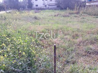 Αγροτεμάχια 4.100 τ.μ. για πώληση, Αχαΐα, Ρίο-thumb-13