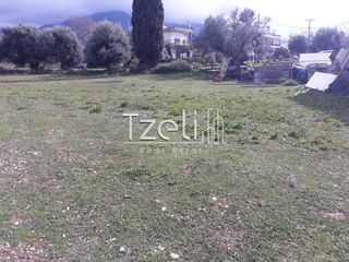 Αγροτεμάχια 4.100 τ.μ. για πώληση, Αχαΐα, Ρίο-thumb-21