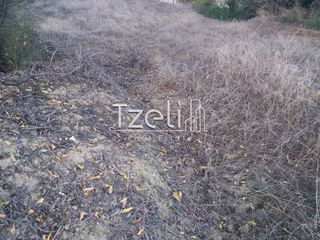 Αγροτεμάχια 4.100 τ.μ. για πώληση, Αχαΐα, Ρίο-thumb-9