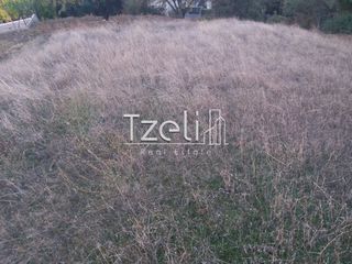 Αγροτεμάχια 4.100 τ.μ. για πώληση, Αχαΐα, Ρίο-thumb-16