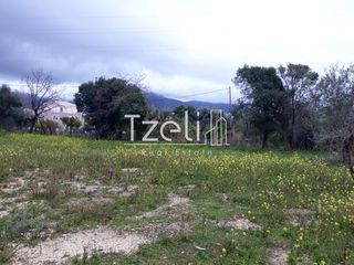 Αγροτεμάχια 4.100 τ.μ. για πώληση, Αχαΐα, Ρίο-thumb-19