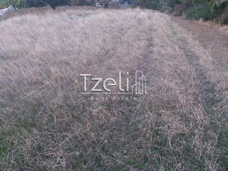 Αγροτεμάχια 4.100 τ.μ. για πώληση, Αχαΐα, Ρίο-thumb-18