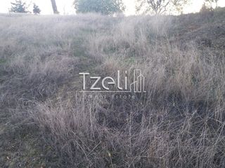 Αγροτεμάχια 4.100 τ.μ. για πώληση, Αχαΐα, Ρίο-thumb-14