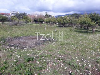 Αγροτεμάχια 4.100 τ.μ. για πώληση, Αχαΐα, Ρίο-thumb-8
