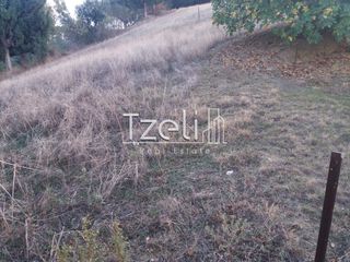 Αγροτεμάχια 4.100 τ.μ. για πώληση, Αχαΐα, Ρίο-thumb-1