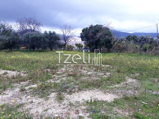 Αγροτεμάχια 4.100 τ.μ. για πώληση, Αχαΐα, Ρίο-thumb-12