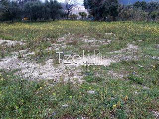 Αγροτεμάχια 4.100 τ.μ. για πώληση, Αχαΐα, Ρίο-thumb-20