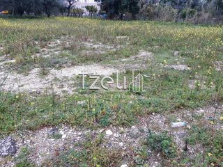 Αγροτεμάχια 4.100 τ.μ. για πώληση, Αχαΐα, Ρίο-thumb-6