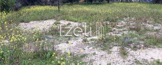Αγροτεμάχια 4.100 τ.μ. για πώληση, Αχαΐα, Ρίο-thumb-17