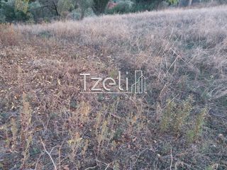 Αγροτεμάχια 4.100 τ.μ. για πώληση, Αχαΐα, Ρίο-thumb-4
