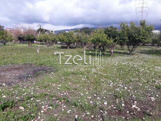 Αγροτεμάχια 4.100 τ.μ. για πώληση, Αχαΐα, Ρίο-thumb-15