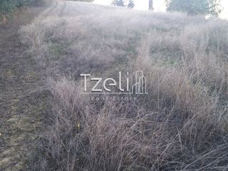 Αγροτεμάχια 4.100 τ.μ. για πώληση, Αχαΐα, Ρίο-thumb-11