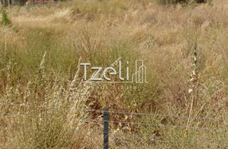 Οικόπεδο 245 τ.μ. για πώληση, Αχαΐα, Μεσσατίδα-thumb-11