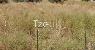 Οικόπεδο 245 τ.μ. για πώληση, Αχαΐα, Μεσσατίδα-thumb-3