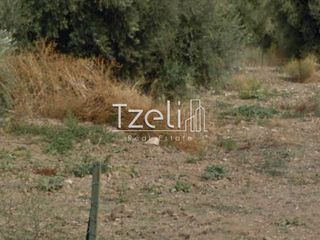 Οικόπεδο 245 τ.μ. για πώληση, Αχαΐα, Μεσσατίδα-thumb-21