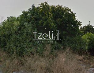 Οικόπεδο 245 τ.μ. για πώληση, Αχαΐα, Μεσσατίδα-thumb-24