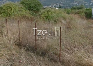 Οικόπεδο 245 τ.μ. για πώληση, Αχαΐα, Μεσσατίδα-thumb-10