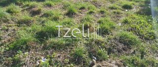Οικόπεδο 4.181 τ.μ. για πώληση, Αχαΐα, Πάτρα-thumb-24