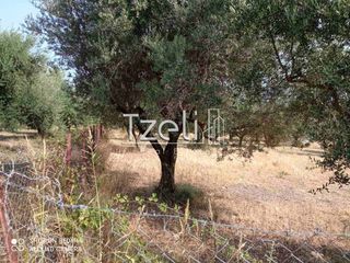 Οικόπεδο 4.181 τ.μ. για πώληση, Αχαΐα, Πάτρα-thumb-13