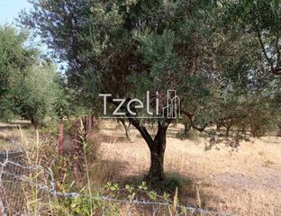 Οικόπεδο 4.181 τ.μ. για πώληση, Αχαΐα, Πάτρα-thumb-3