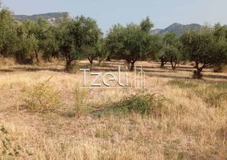 Οικόπεδο 4.181 τ.μ. για πώληση