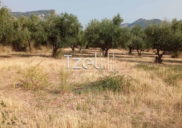 Οικόπεδο 4.181 τ.μ. για πώληση, Αχαΐα, Πάτρα