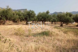Οικόπεδο 4.181 τ.μ. για πώληση, Αχαΐα, Πάτρα-thumb-5