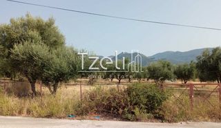 Οικόπεδο 4.181 τ.μ. για πώληση, Αχαΐα, Πάτρα-thumb-21