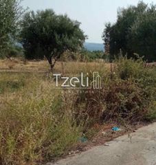 Οικόπεδο 4.181 τ.μ. για πώληση, Αχαΐα, Πάτρα-thumb-4